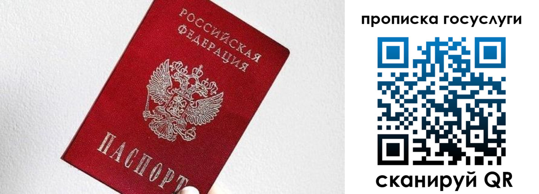 прописка законно в Острогожске